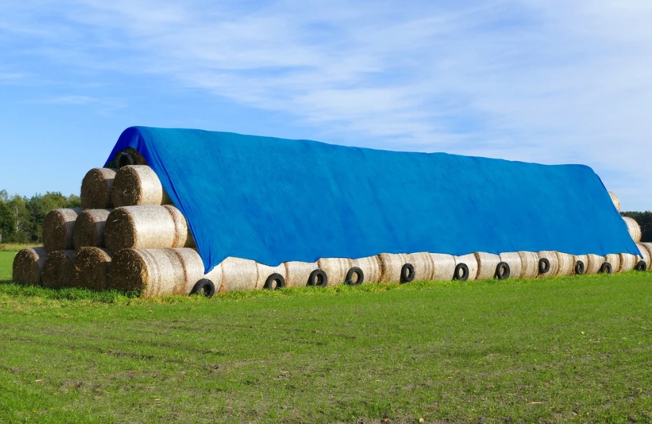 Снимок экрана_10-7-2025_82810_www.vseinstrumenti.ru