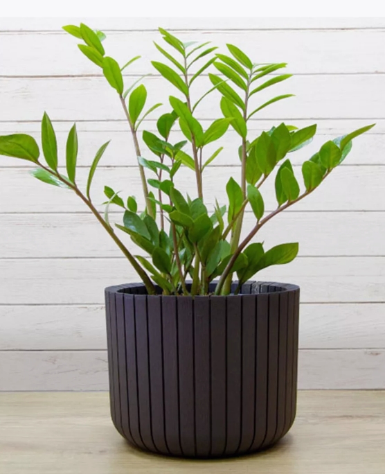 Снимок экрана_13-5-2025_82135_www.wildberries.ru