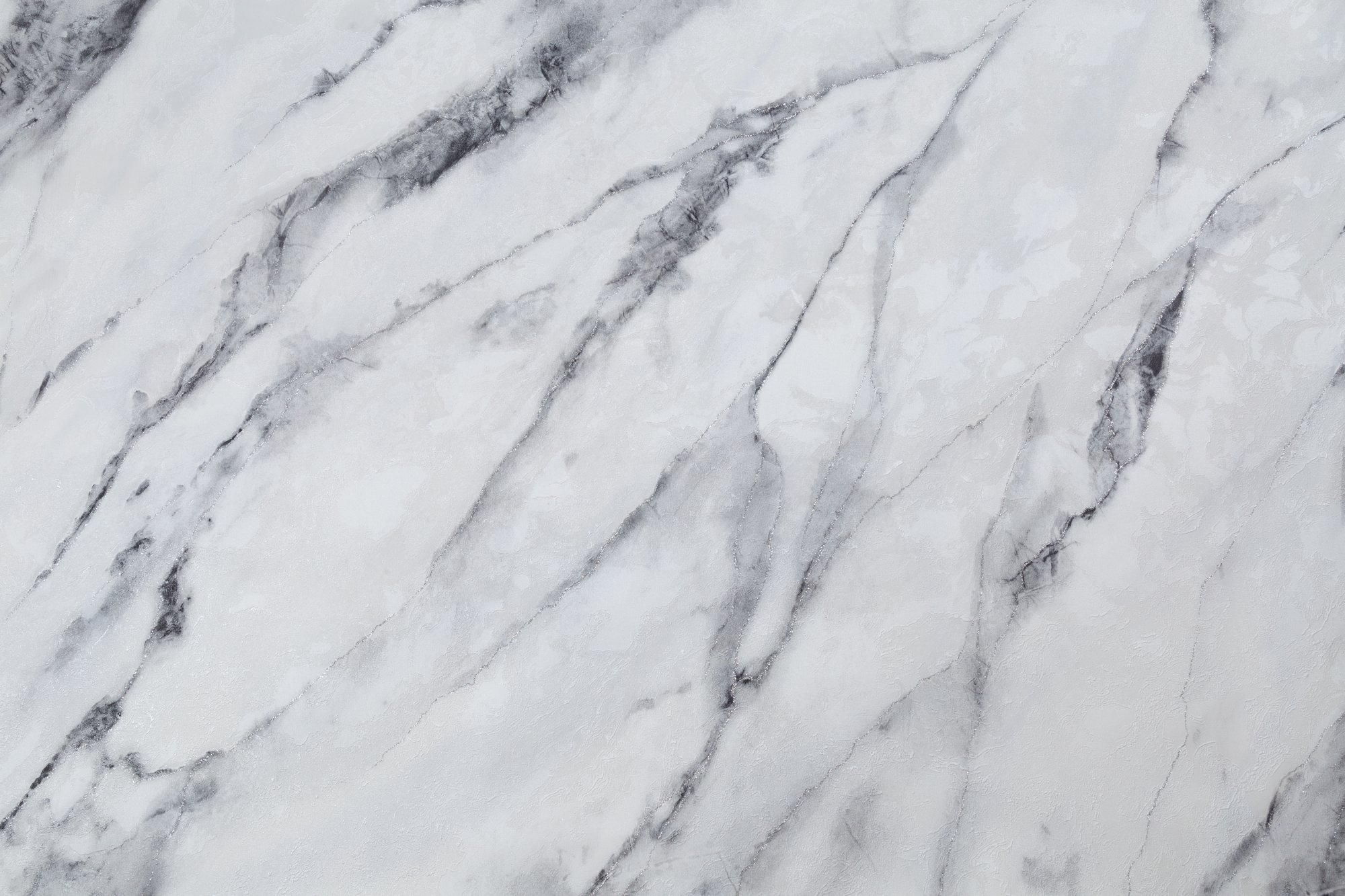 CAT_MACRO_PHOTOfI_HC72319-14_(1)