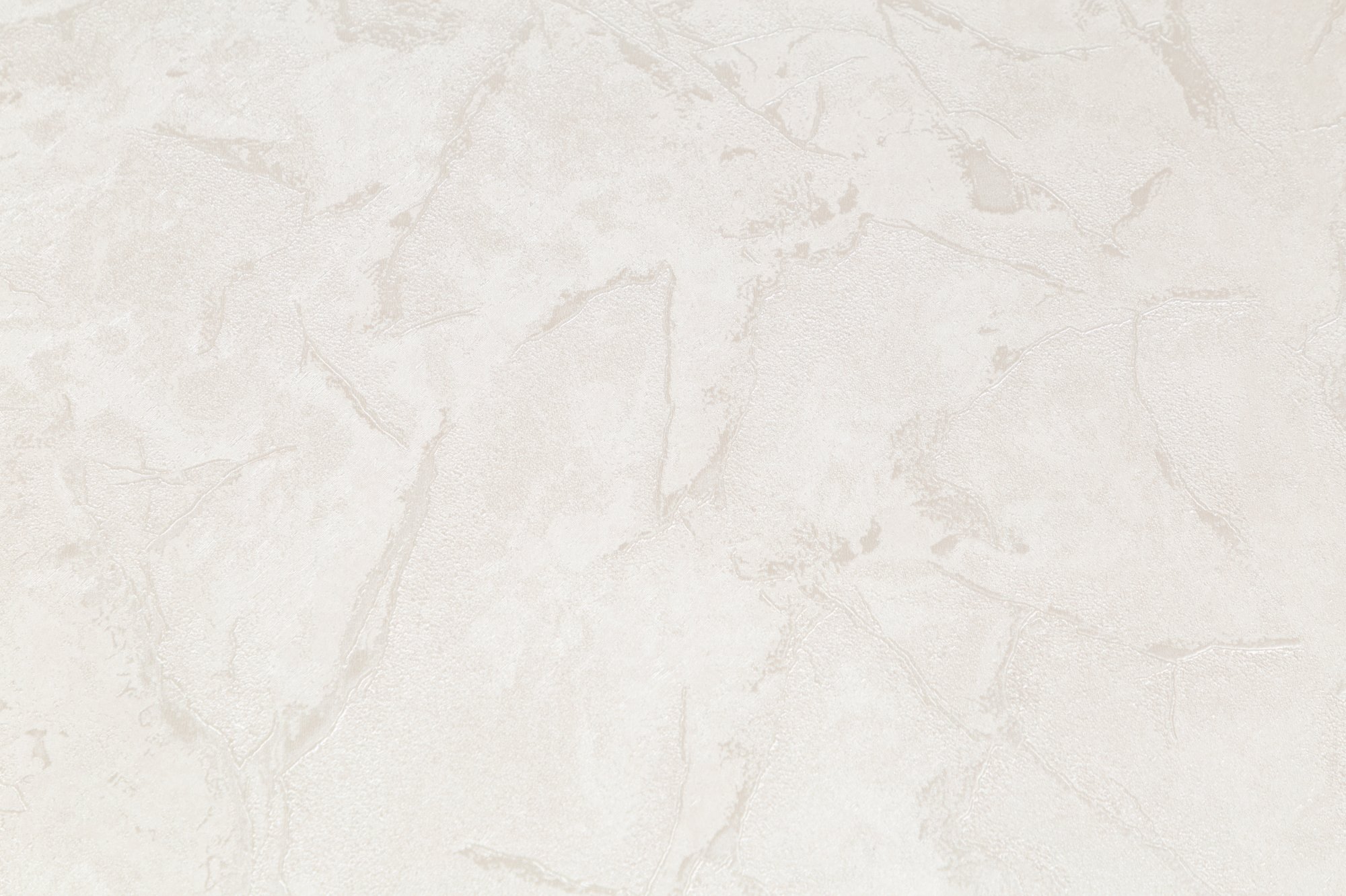 CAT_MACRO_PHOTOrI_SL72390-22_(3)