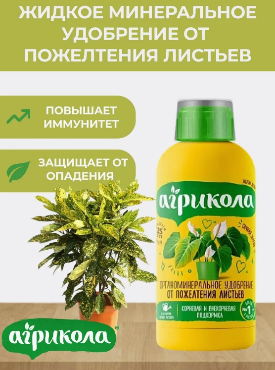 Снимок экрана_16-6-2025_94729_www.wildberries.ru