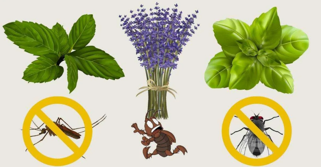 Снимок экрана_10-6-2025_132439_yandex.ru