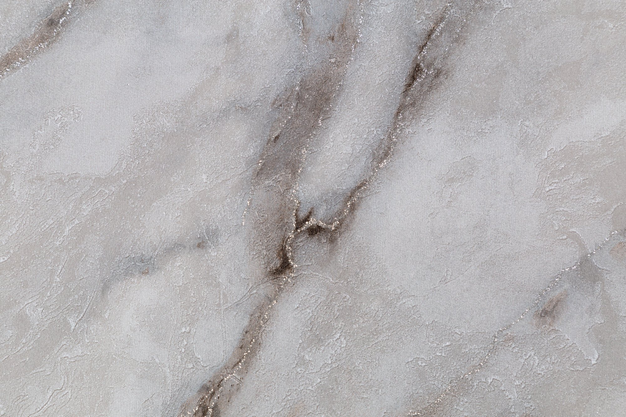 CAT_MACRO_PHOTOqI_HC72319-42_(3)