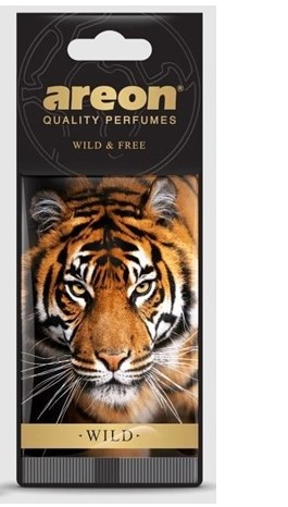 Снимок экрана 2025-09-26 092134