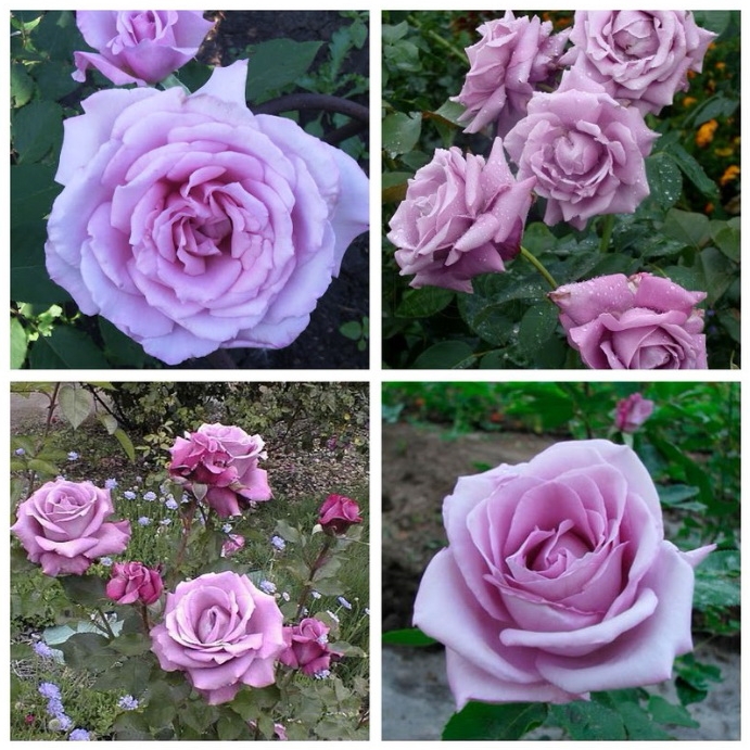 Снимок экрана_21-2-2025_114024_astrussia.com