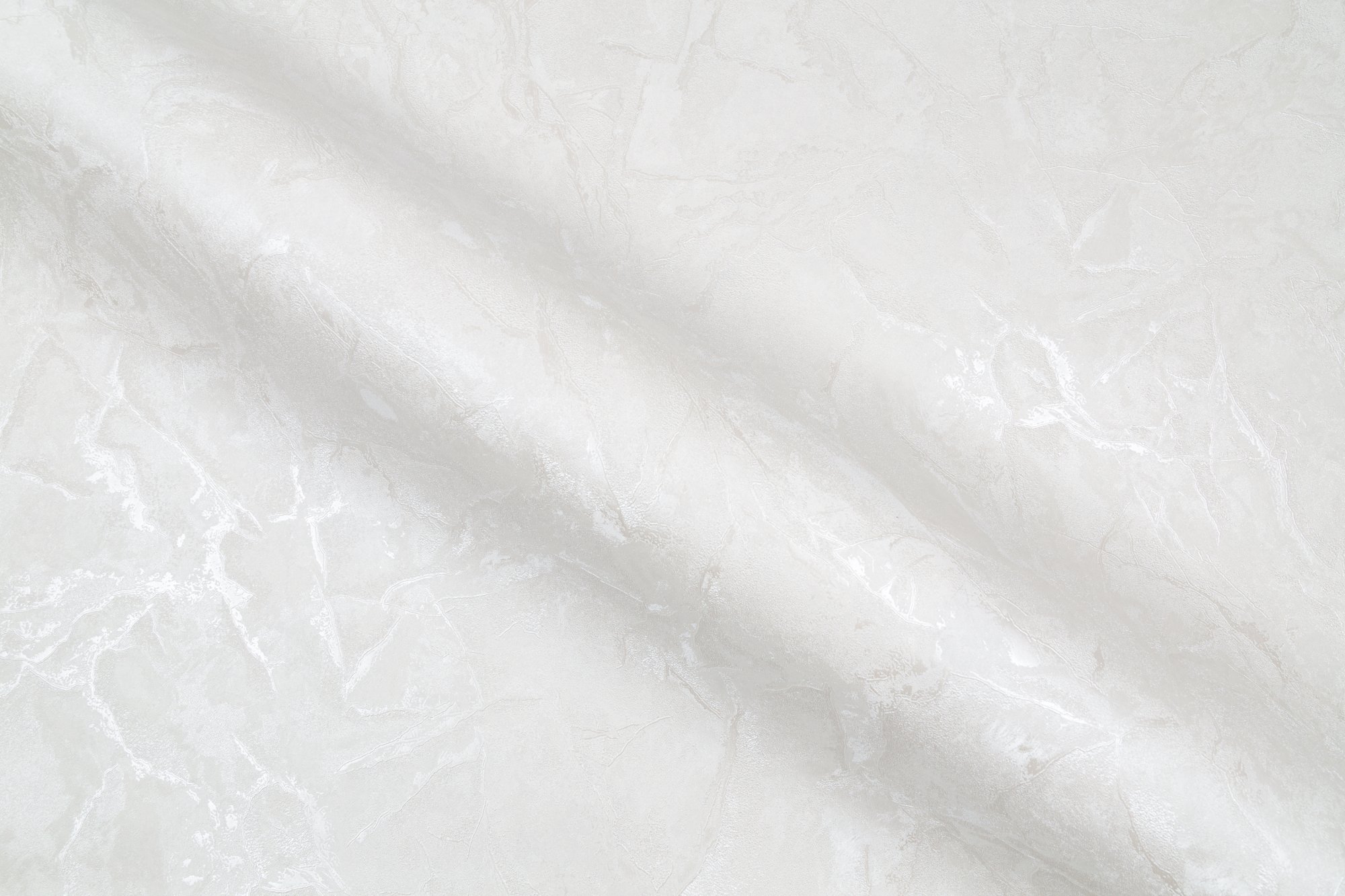 CAT_MACRO_PHOTOuI_SL72390-11_(5)