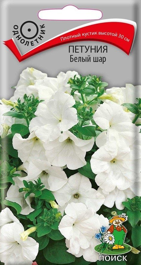 семена_петуния_белый_шар_0_1гр_поиск_1.jpg