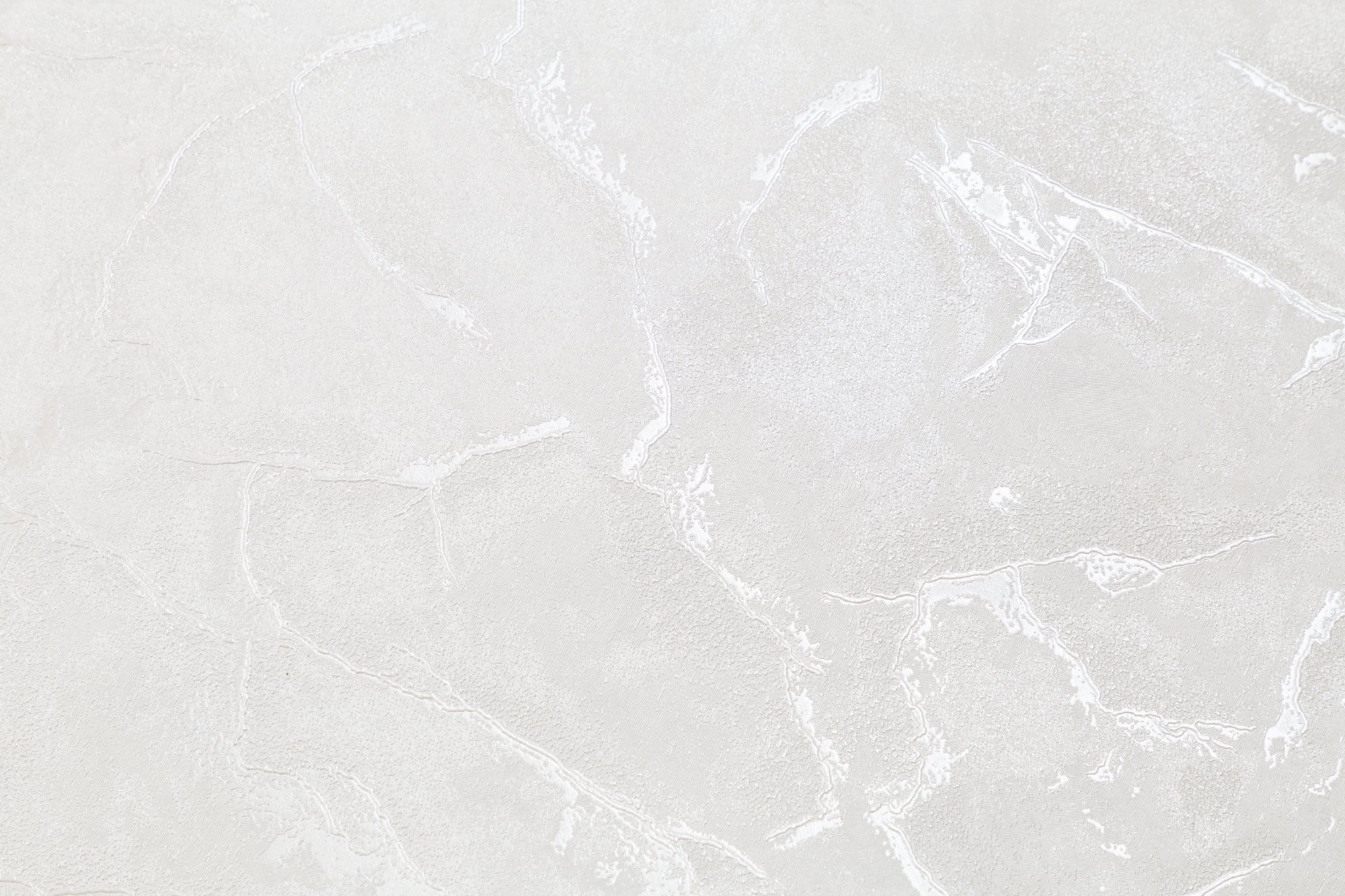 CAT_MACRO_PHOTOaI_SL72390-11_(3)