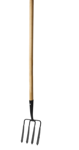 Снимок экрана 2025-03-01 133819