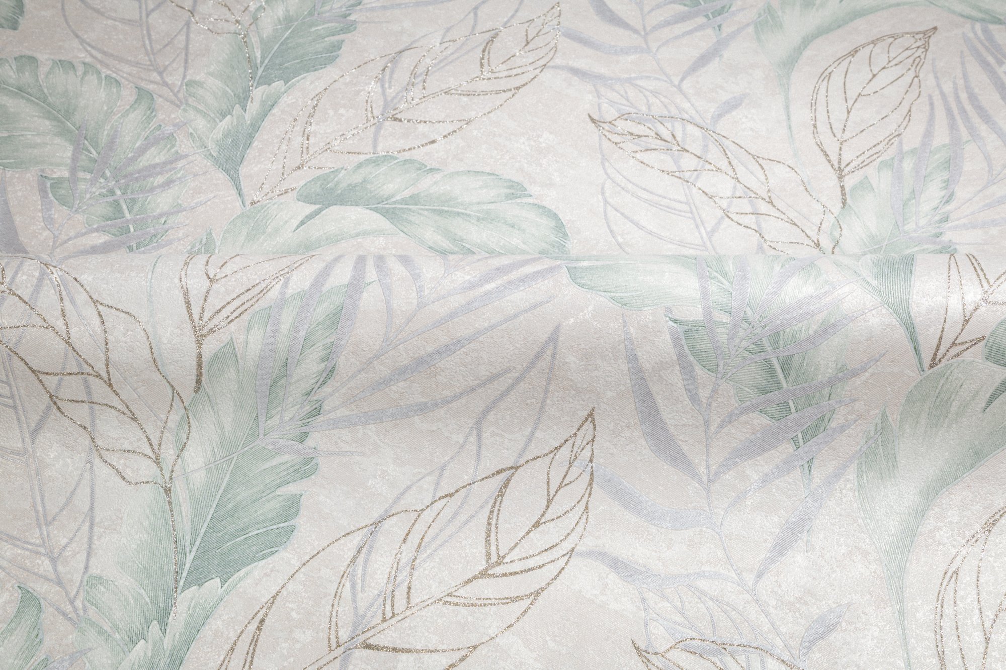 CAT_MACRO_PHOTOhI_HC72437-27_(5)