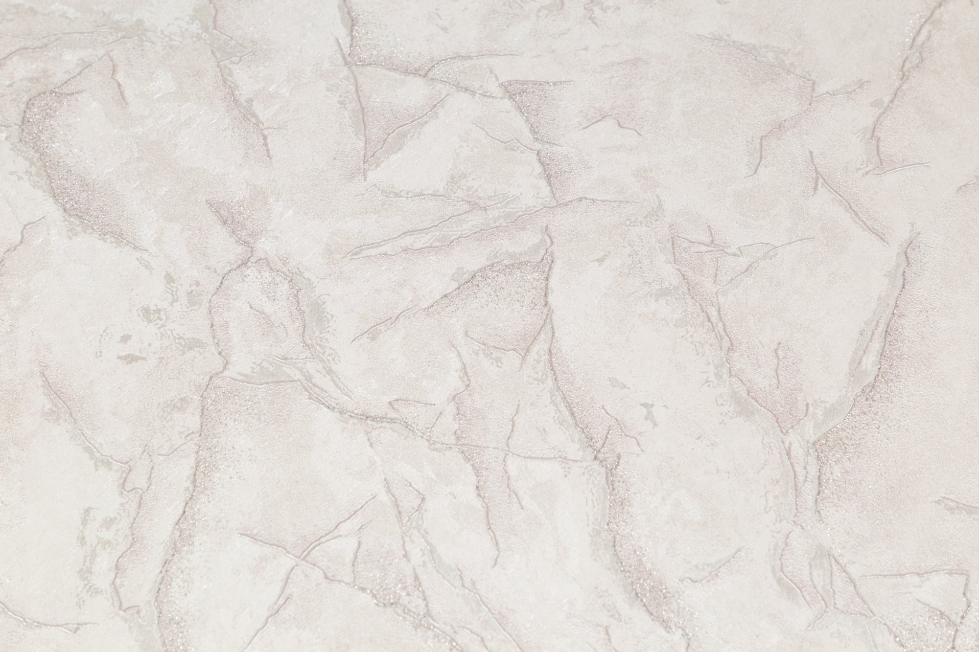 CAT_MACRO_PHOTOsI_SL72389-22_(3)