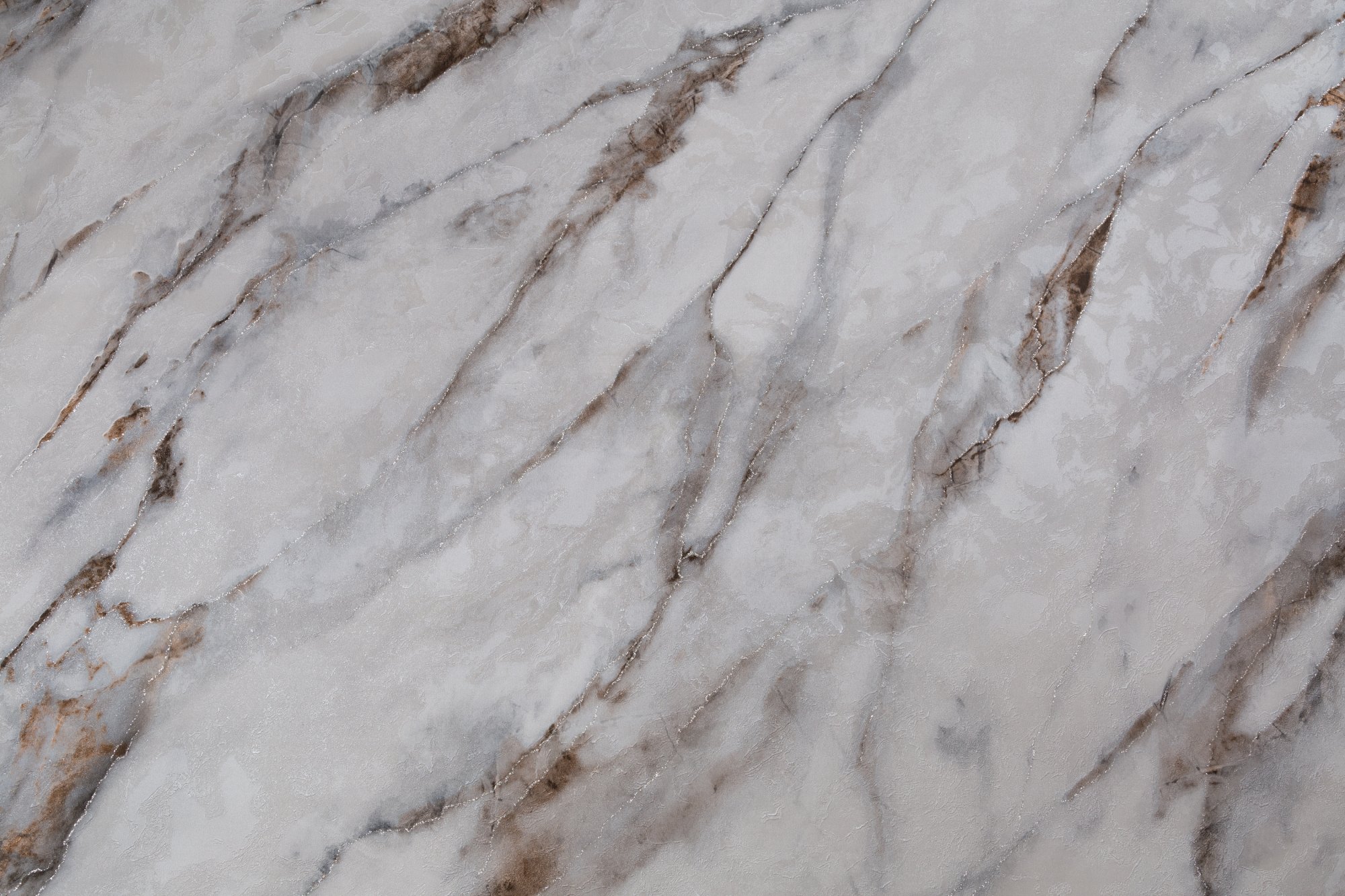 CAT_MACRO_PHOTOfI_HC72319-42_(1)