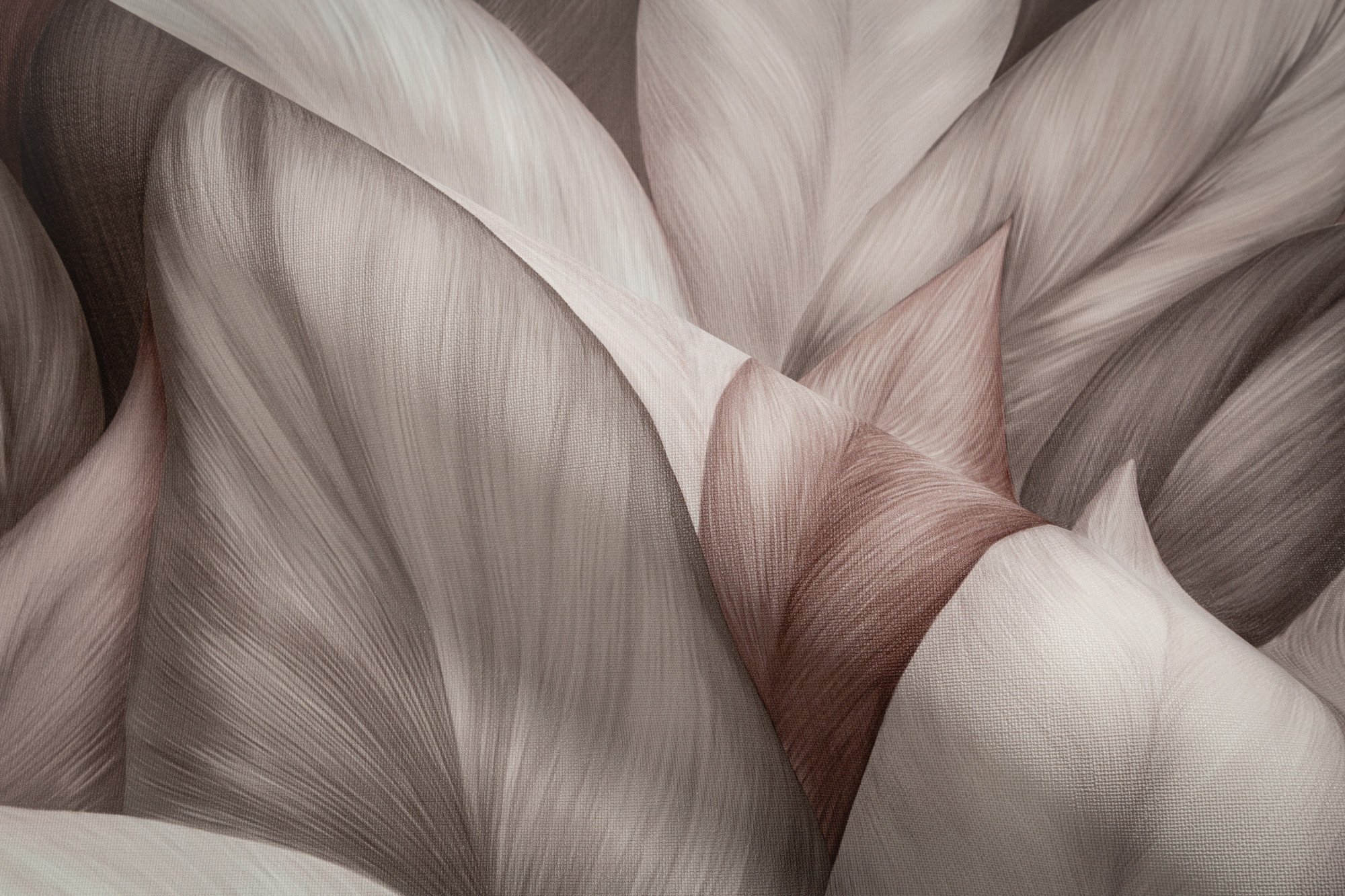 CAT_MACRO_PHOTOgI_TC72480-82_(4)