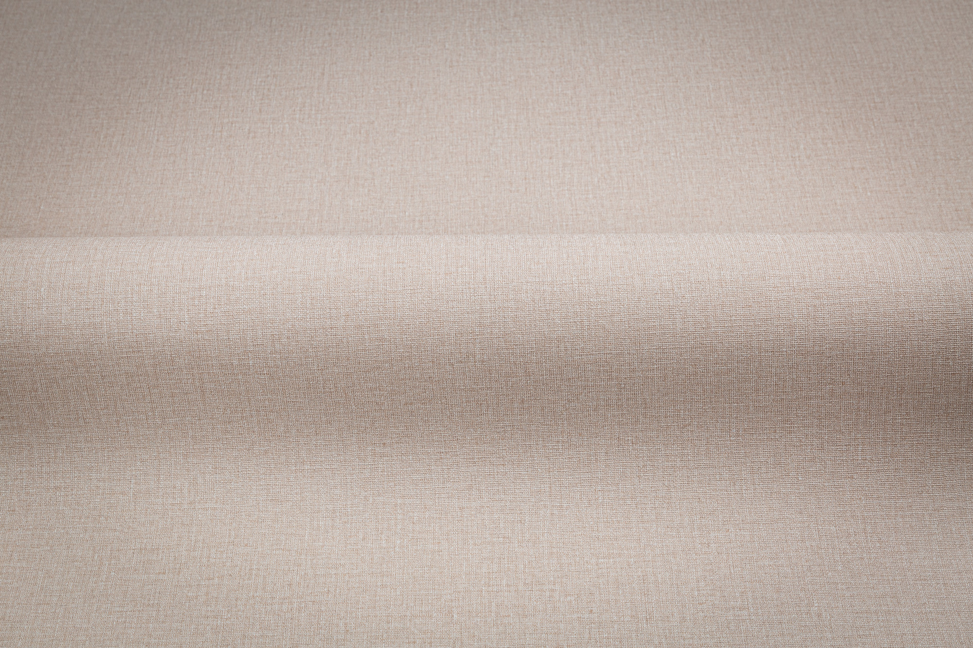 CAT_MACRO_PHOTOlI_TC72460-48_(3)