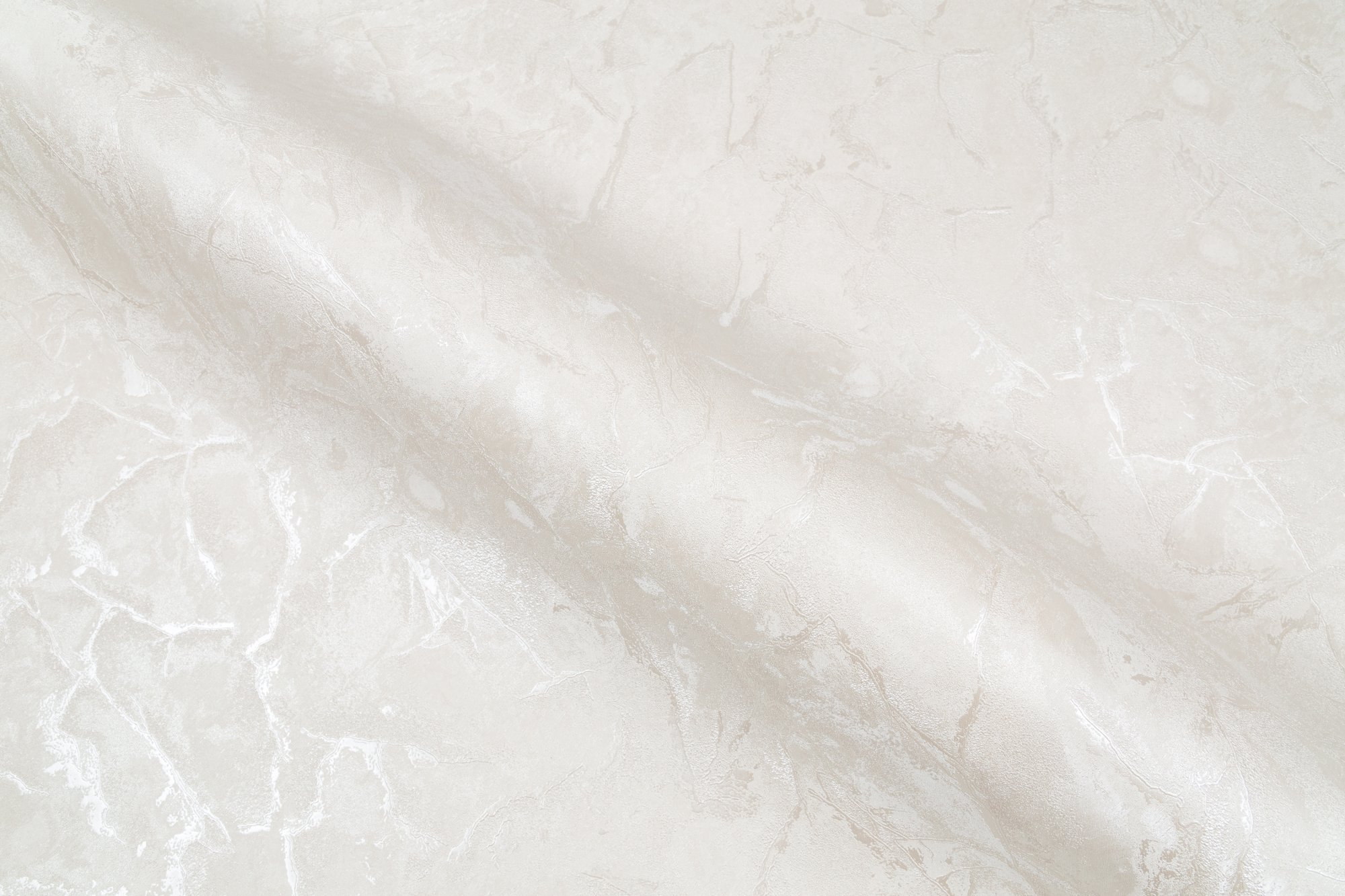 CAT_MACRO_PHOTOyI_SL72390-22_(5)