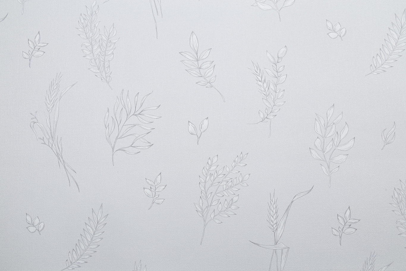 CAT_MACRO_PHOTOuI_VV72060-14_(1)