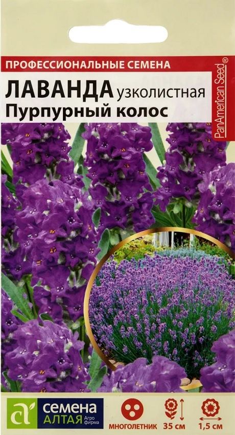 семена_лаванда_пурпурный_колос_узколистная_0_1гр_семена_алтая_1.jpg
