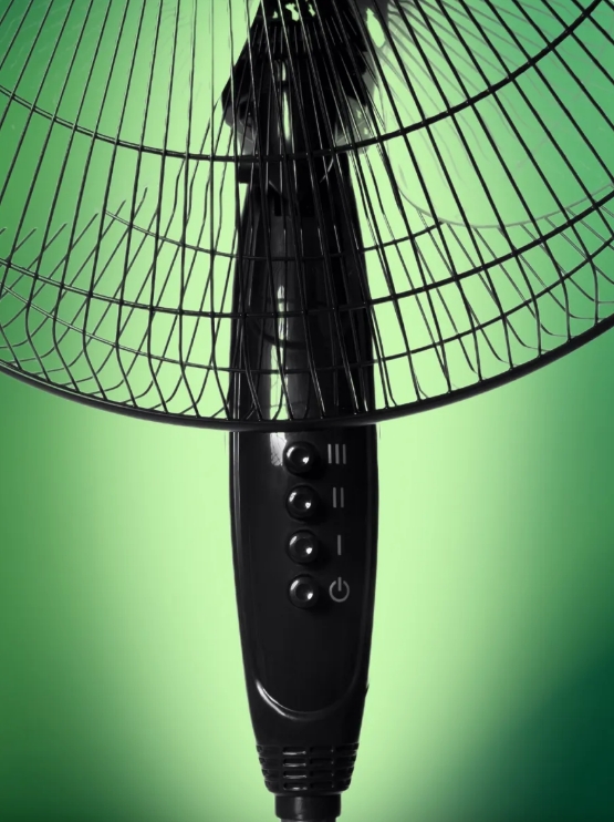 Снимок экрана_17-6-2025_8215_www.wildberries.ru