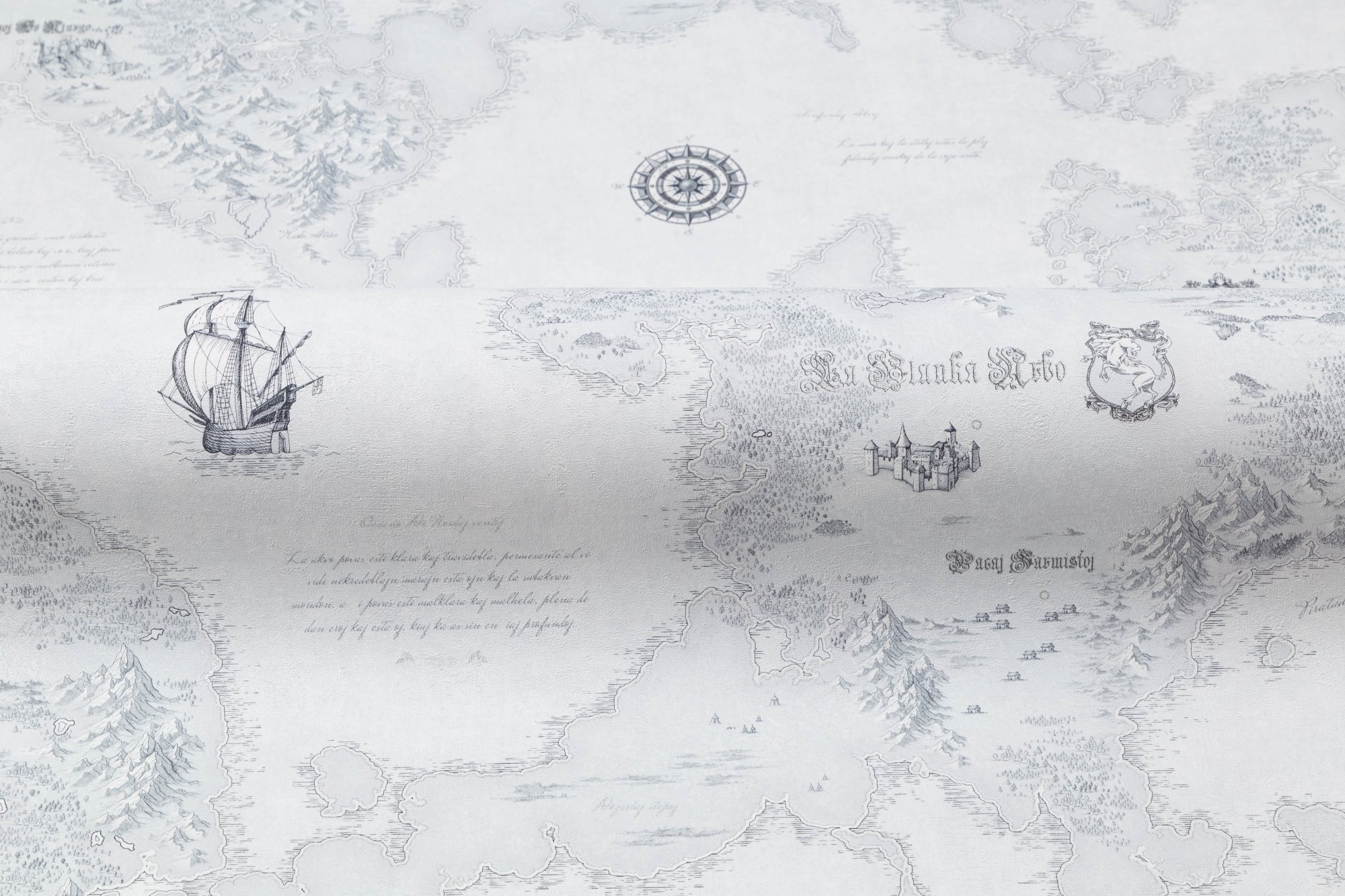 CAT_MACRO_PHOTOvi_HC72316-14_(3)