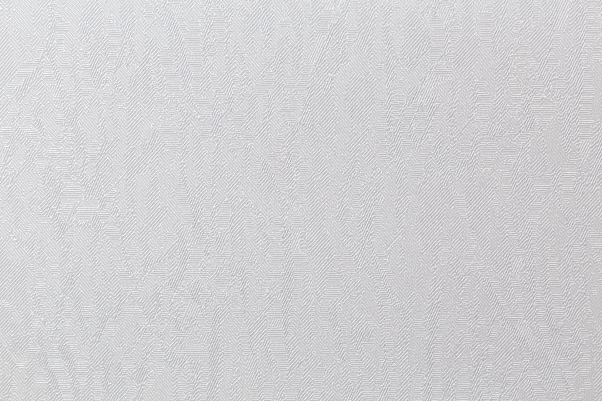 CAT_MACRO_PHOTOsI_HC31236-24_(2)