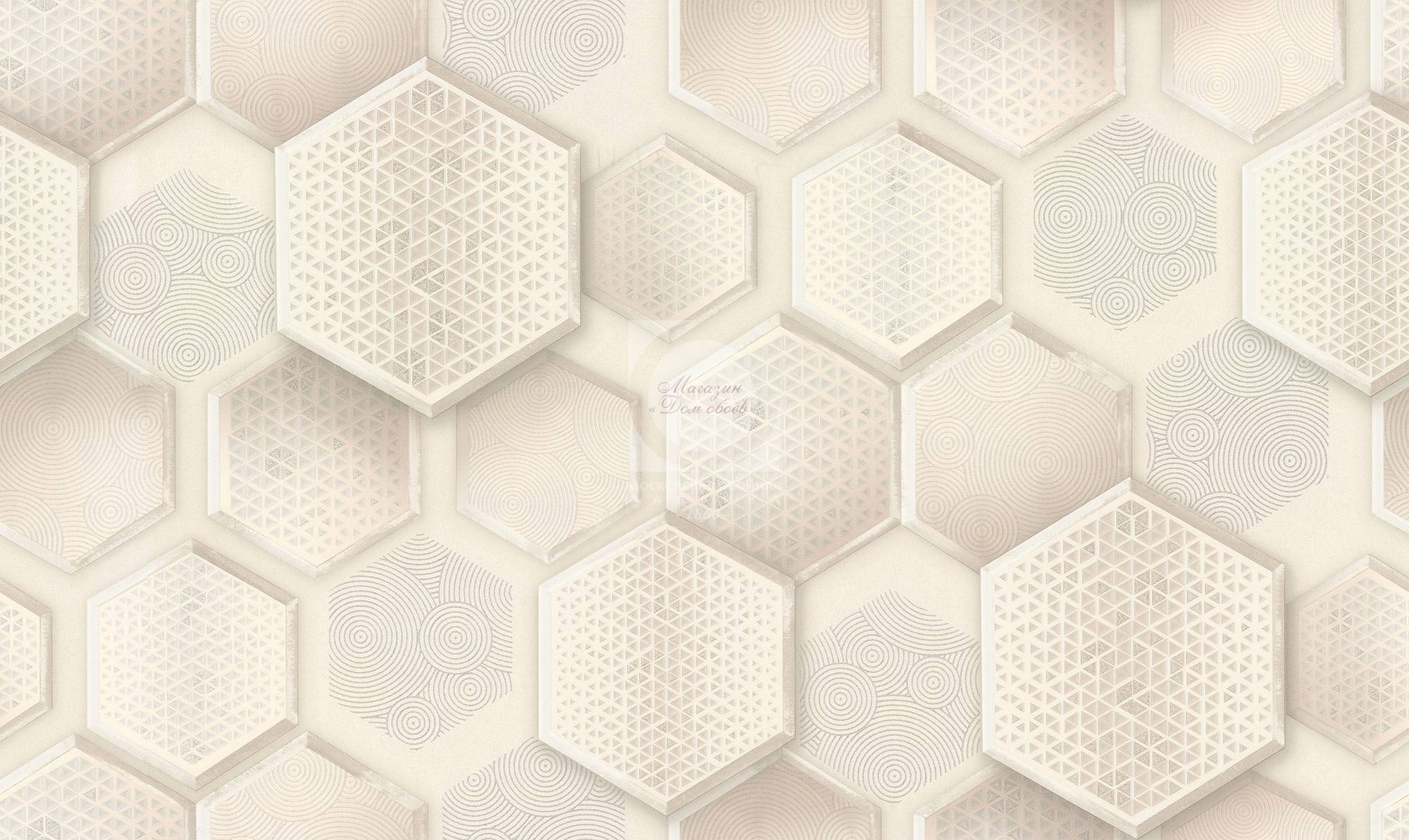 20221109022401_Soty_4225-2