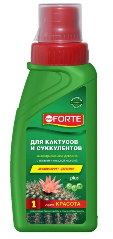 Снимок экрана 2026-10-14 164927