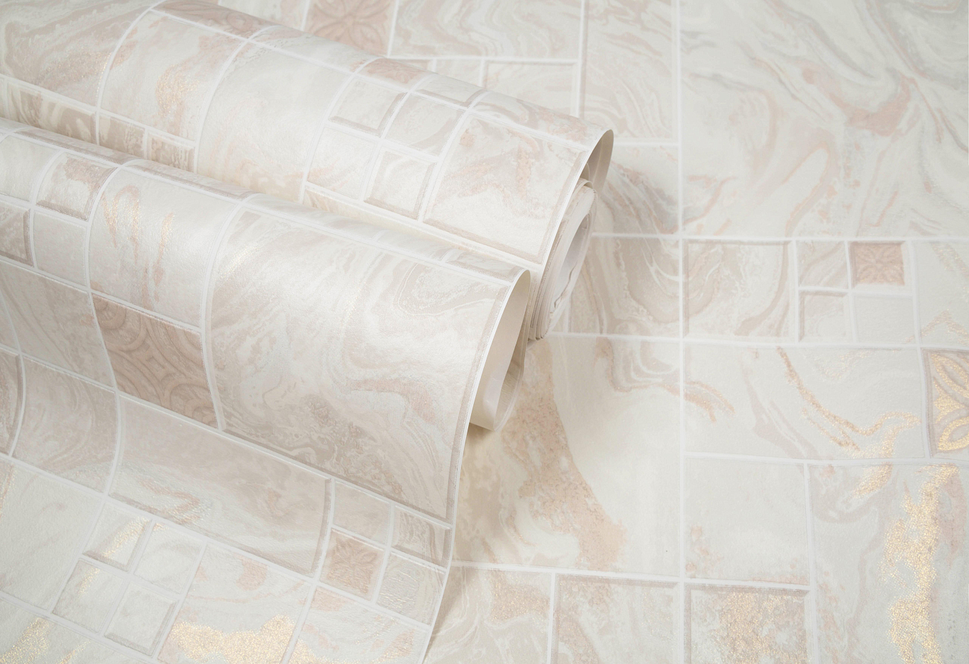 CAT_MACRO_PHOTOuI_HC11047-12_(6)