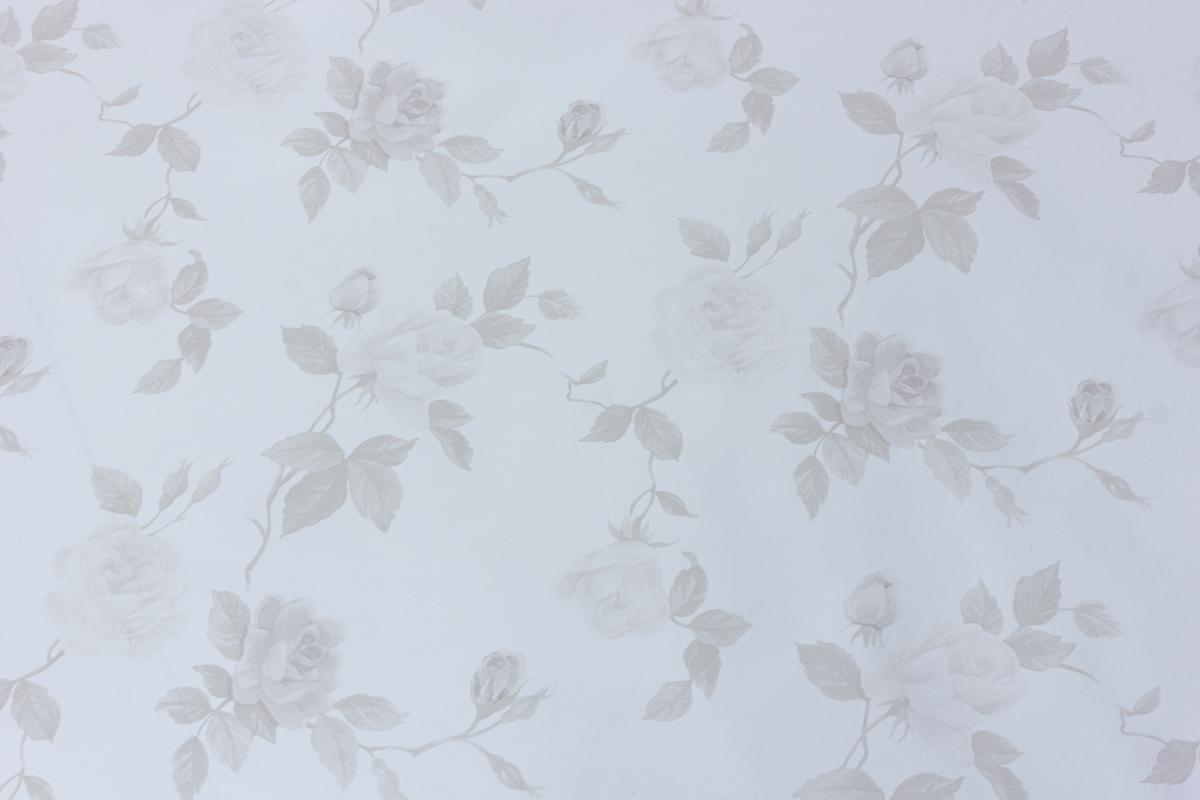 t6rj5zy0zhblagxlgikaj8x67gr3mn8r