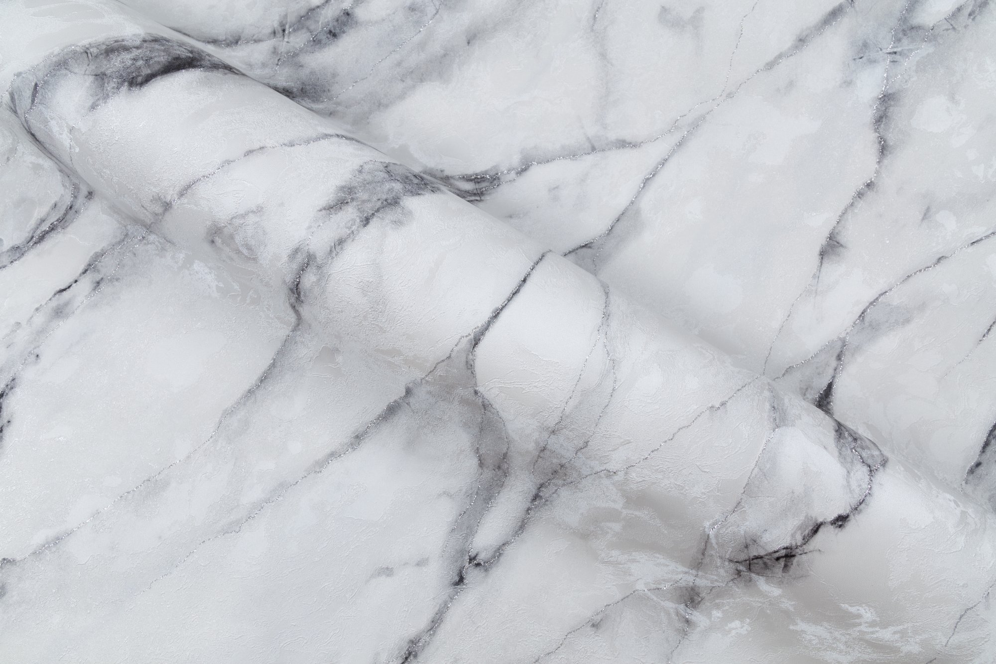 CAT_MACRO_PHOTOlI_HC72319-14_(5)