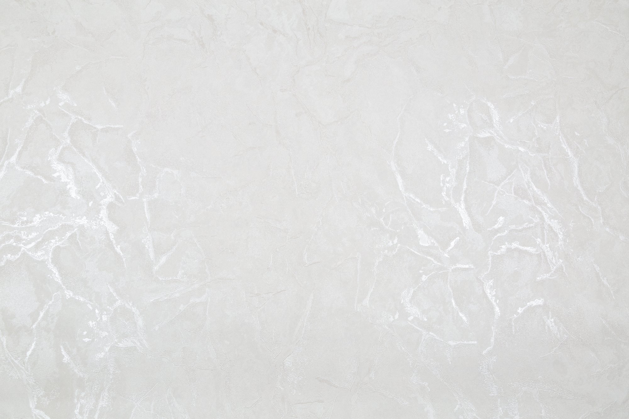 CAT_MACRO_PHOTOyI_SL72390-11_(1)