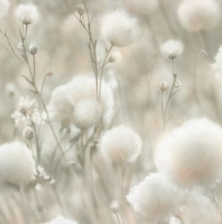 Снимок экрана 2025-12-01 111547