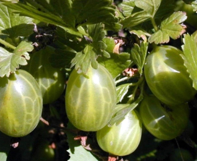 Снимок экрана_5-5-2025_162719_xn----8sbekbt4bgkof8d.xn--p1ai