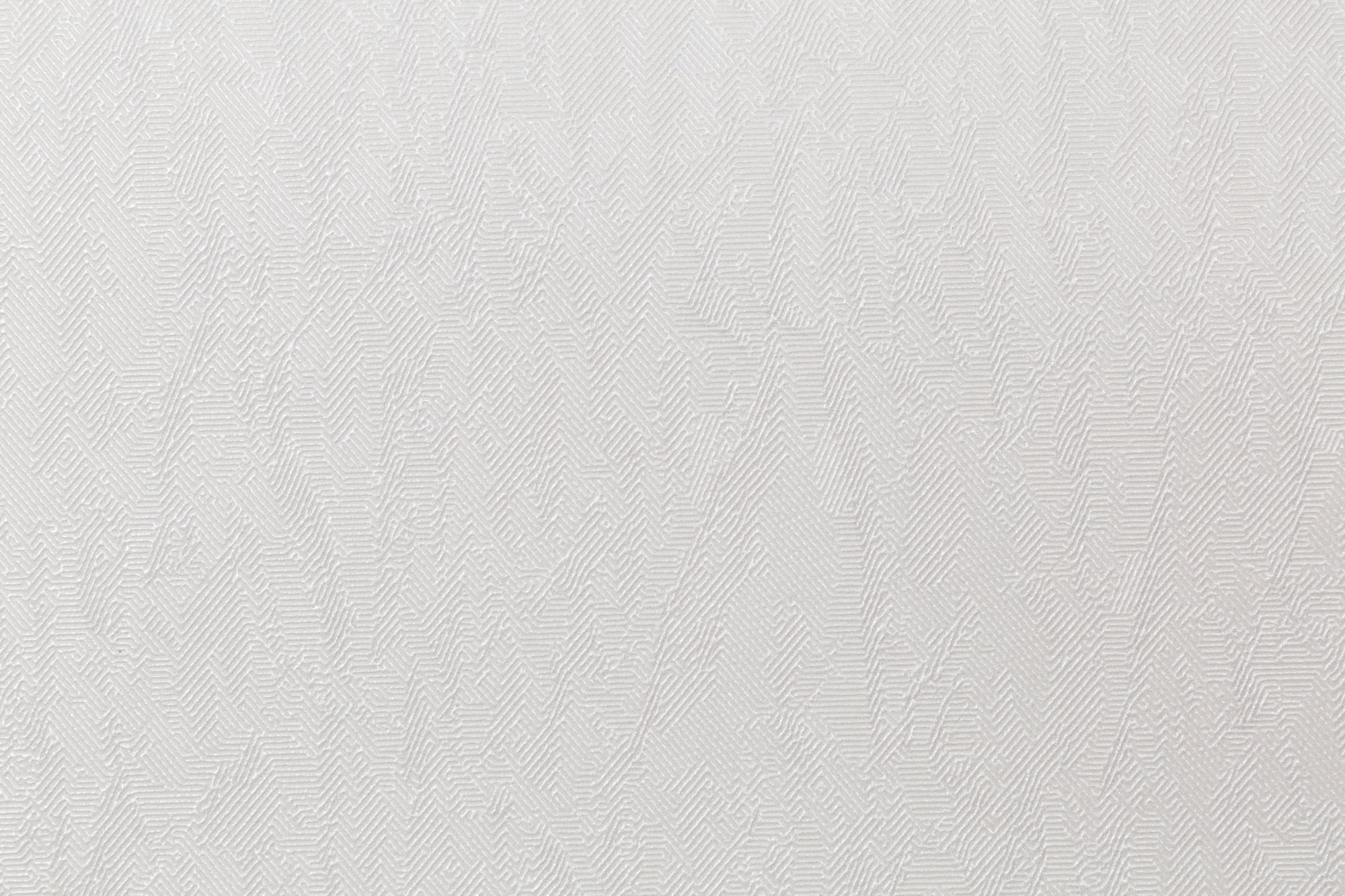 CAT_MACRO_PHOTOlI_HC31236-21_(2)