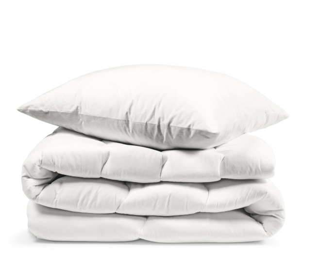 Снимок экрана_5-3-2025_143159_sitsy.ru