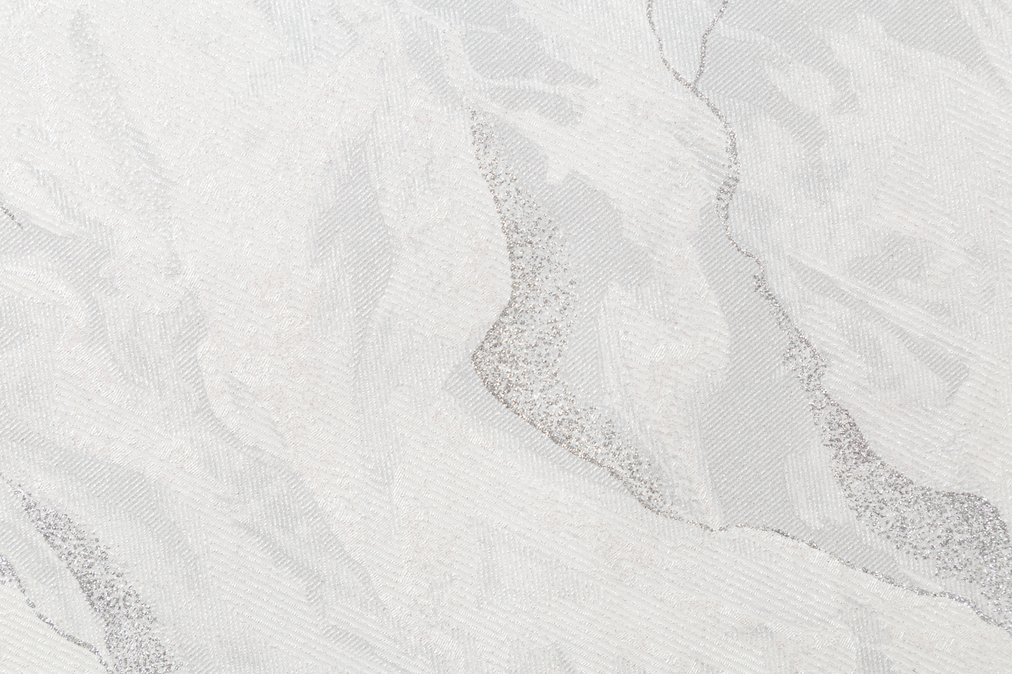 CAT_MACRO_PHOTOeI_HC72428-14_(3)