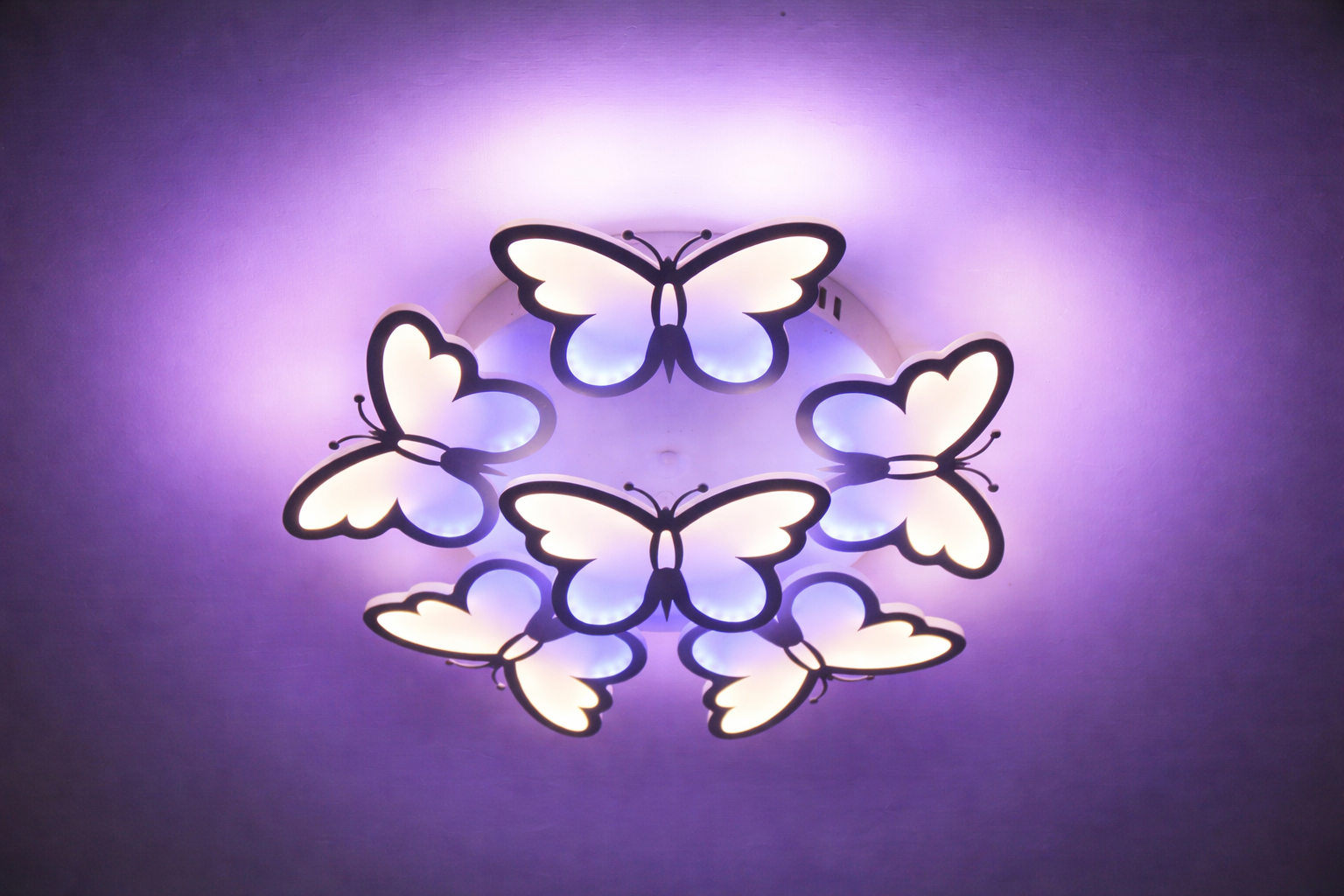 ChatGPT Image 24 февр. 2026 г., 11_11_21