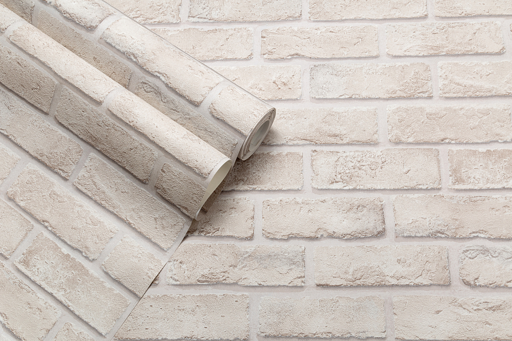 CAT_MACRO_PHOTOwIMG_SP71809-24_(5)