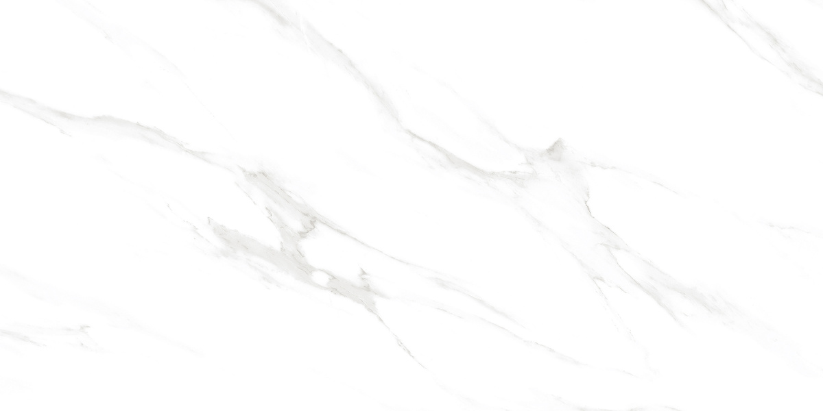 ab9a4358_d5f2_425f_b39e_cd7cfe35ed82_fbbbef46_c029_11ee_b80e_0050568dfd52.resize1