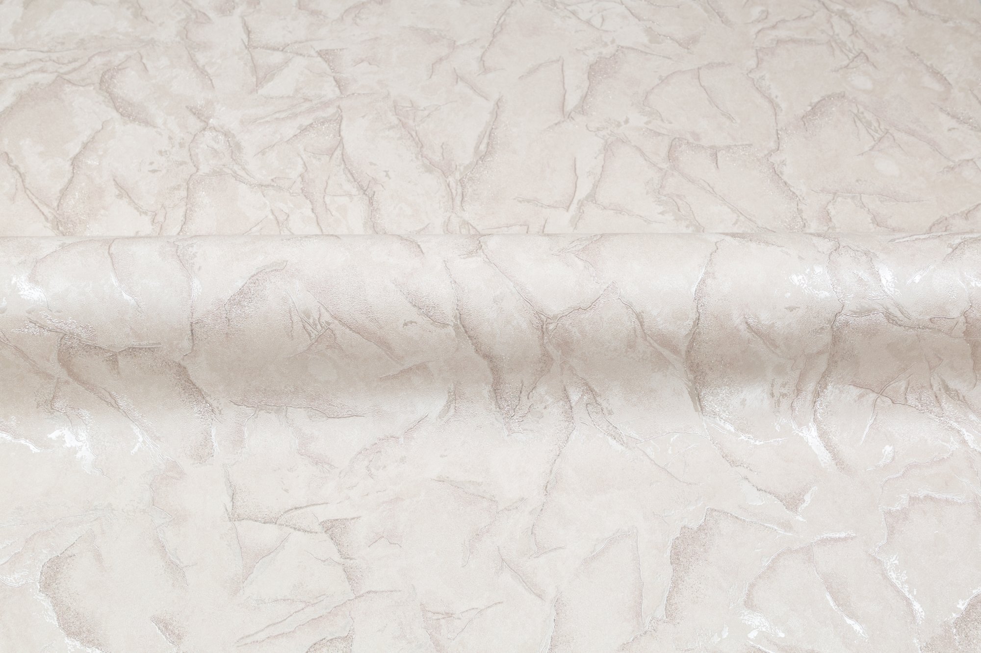 CAT_MACRO_PHOTOaI_SL72389-22_(4)