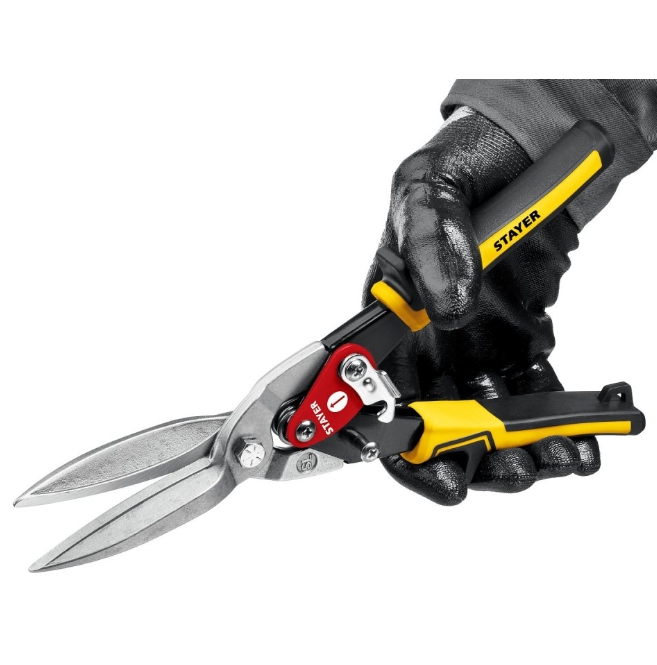 Снимок экрана_31-1-2025_13651_www.zubr36.ru