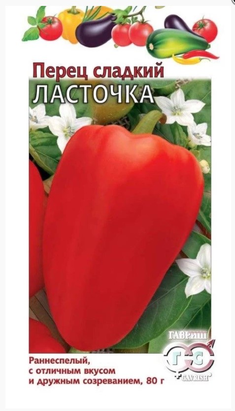 Снимок экрана 2024-07-30 144643