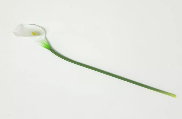 Безымянный