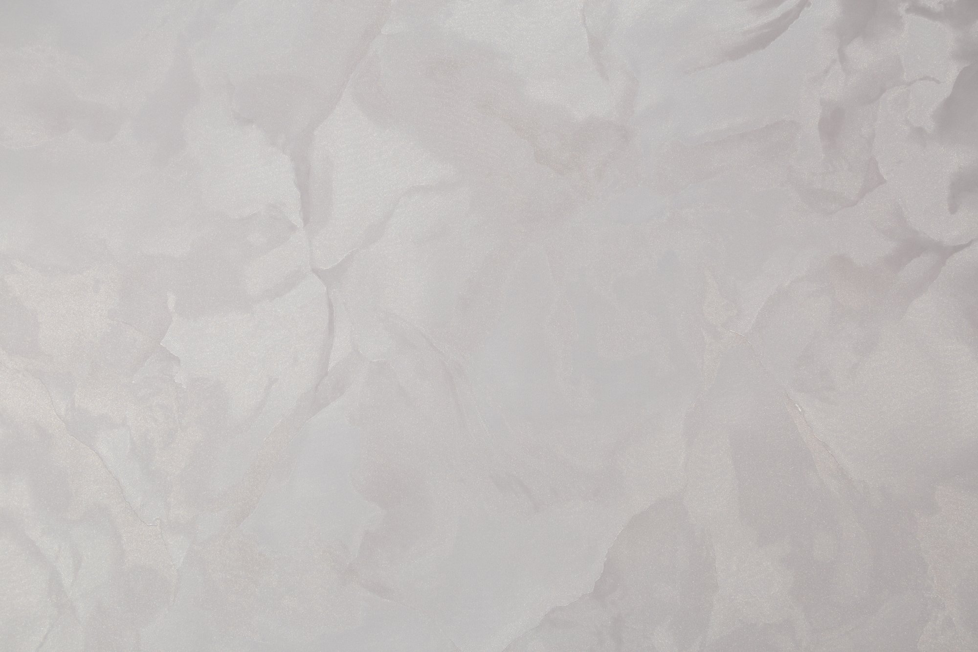 CAT_MACRO_PHOTOzI_HC72371-48_(1)