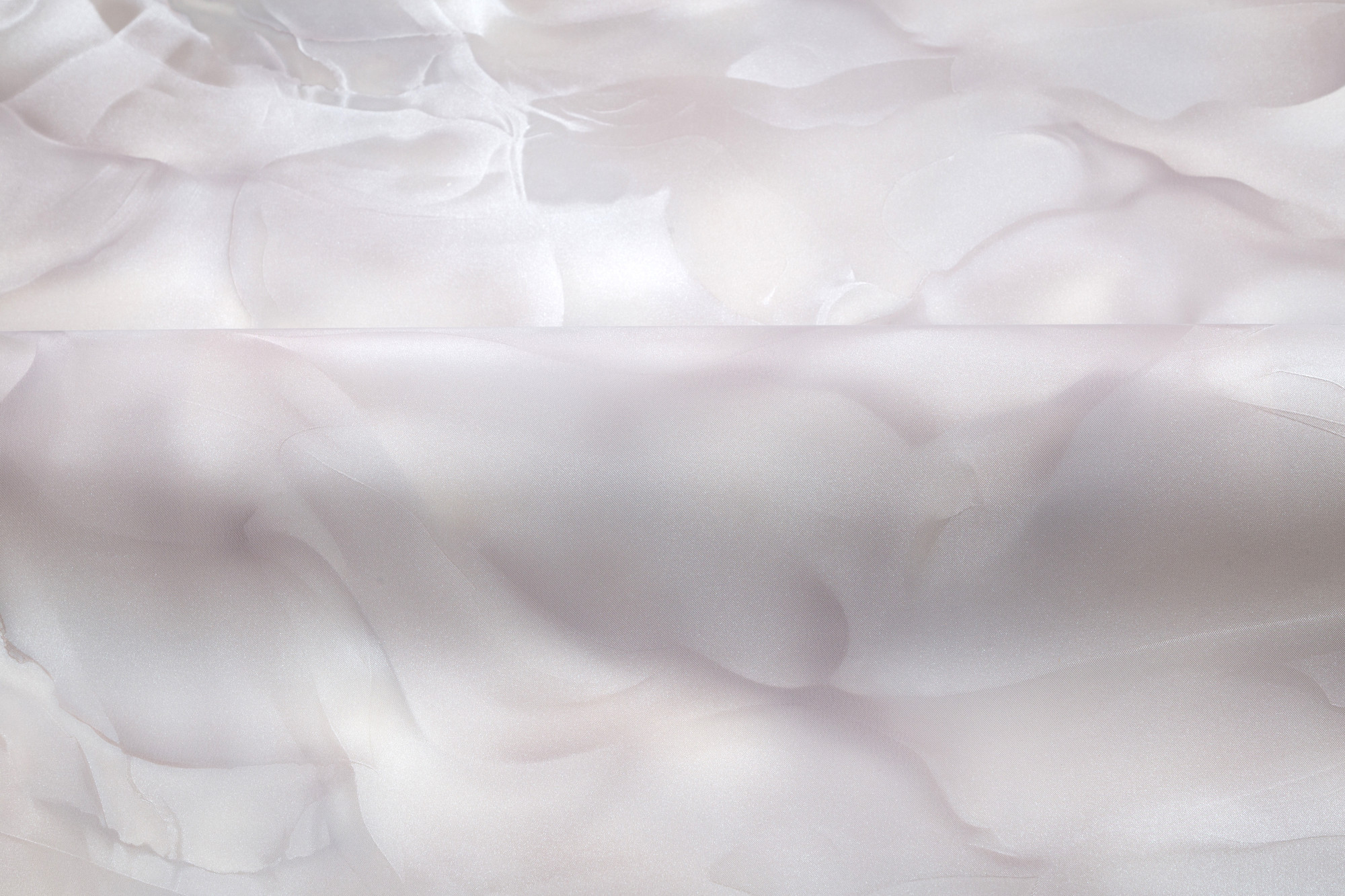 CAT_MACRO_PHOTOjI_HC72452-24_(4)