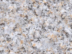 Снимок экрана_7-4-2025_16164_idd35.ru