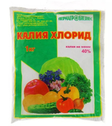 Снимок
