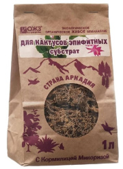 Снимок
