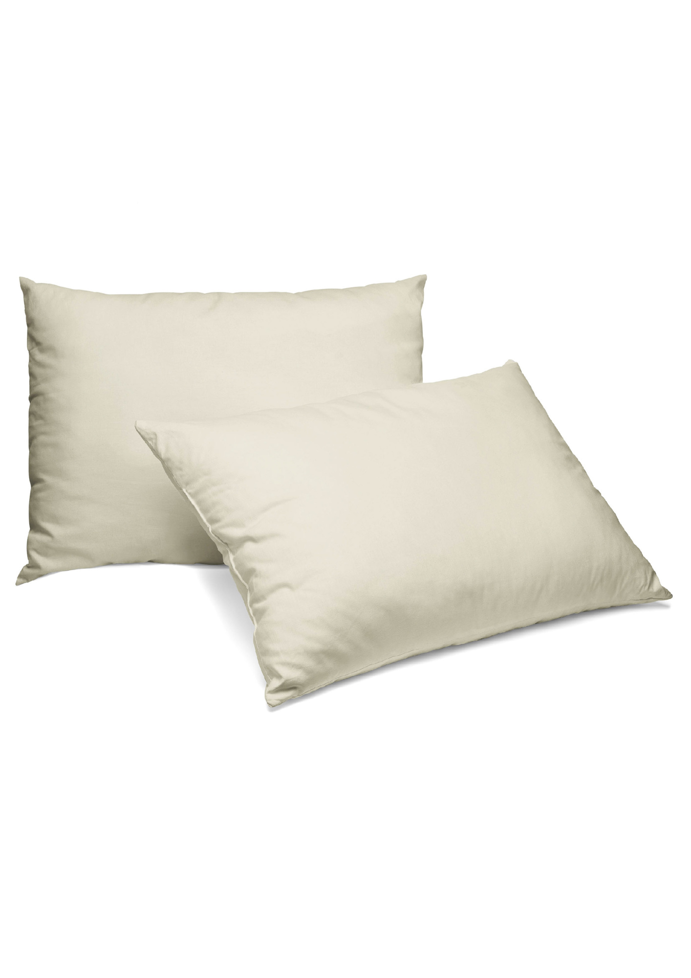 mshsn0w2f5wkwmx46p535dtn2qeq9no3