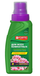 Снимок экрана 2026-10-14 165336