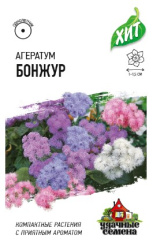 Снимок